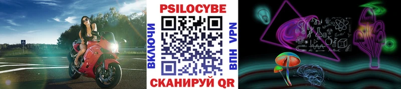 Псилоцибиновые грибы прущие грибы  Отрадный 